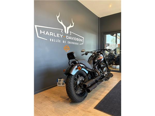 2015 HARLEY-DAVIDSON SLIM
