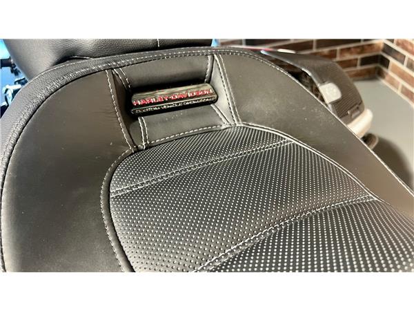 2021 harley-davidson FLHXSE Street Glide CVO 117