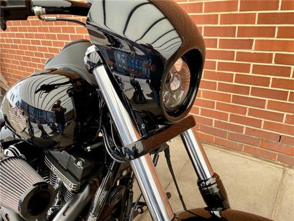 2017 HARLEY-DAVIDSON DYNA FXDLS LOW RIDER S