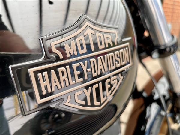 2017 HARLEY-DAVIDSON DYNA FXDLS LOW RIDER S