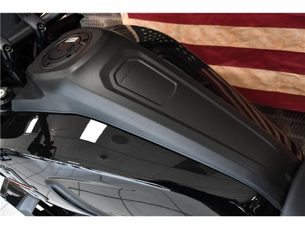 2024 HARLEY-DAVIDSON ADVENTURE TOURING RA1250 PAN AMERICA 1250