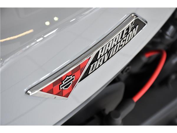 2025 HARLEY-DAVIDSON SPORTSTER S