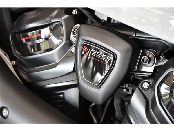 2025 HARLEY-DAVIDSON SPORTSTER S