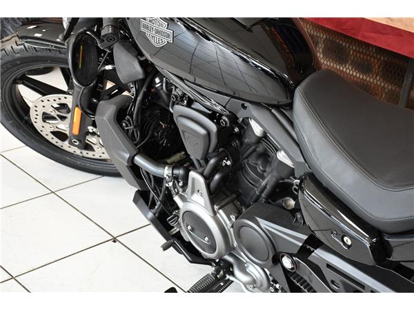 2025 HARLEY-DAVIDSON NIGHTSTER 975