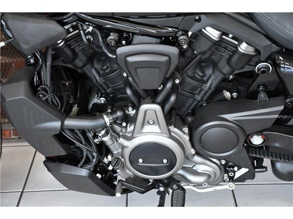 2025 HARLEY-DAVIDSON NIGHTSTER 975