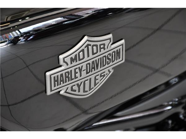 2025 HARLEY-DAVIDSON NIGHTSTER 975