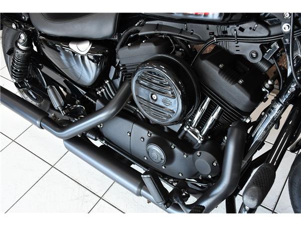 2020 HARLEY-DAVIDSON SPORTSTER XL