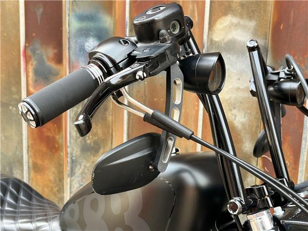 2016 Harley-Davidson Sportster