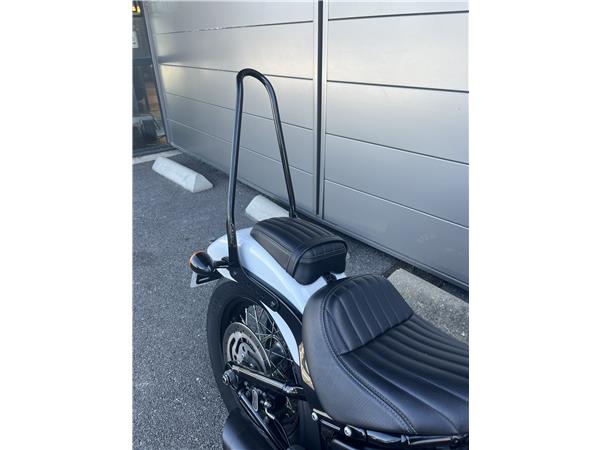 2021 HARLEY-DAVIDSON STREET BOB