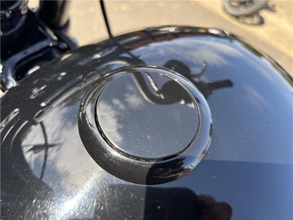 2019 HARLEY-DAVIDSON SOFTAIL FXBB STREET BOB
