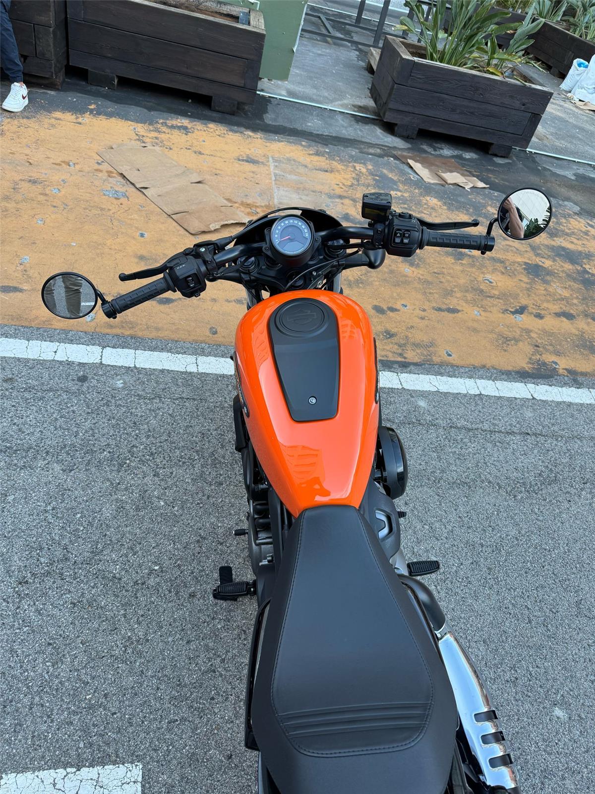 NIGHTSTER STD – 2022