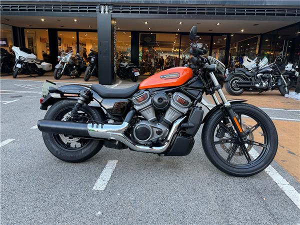 2022 Nightster
