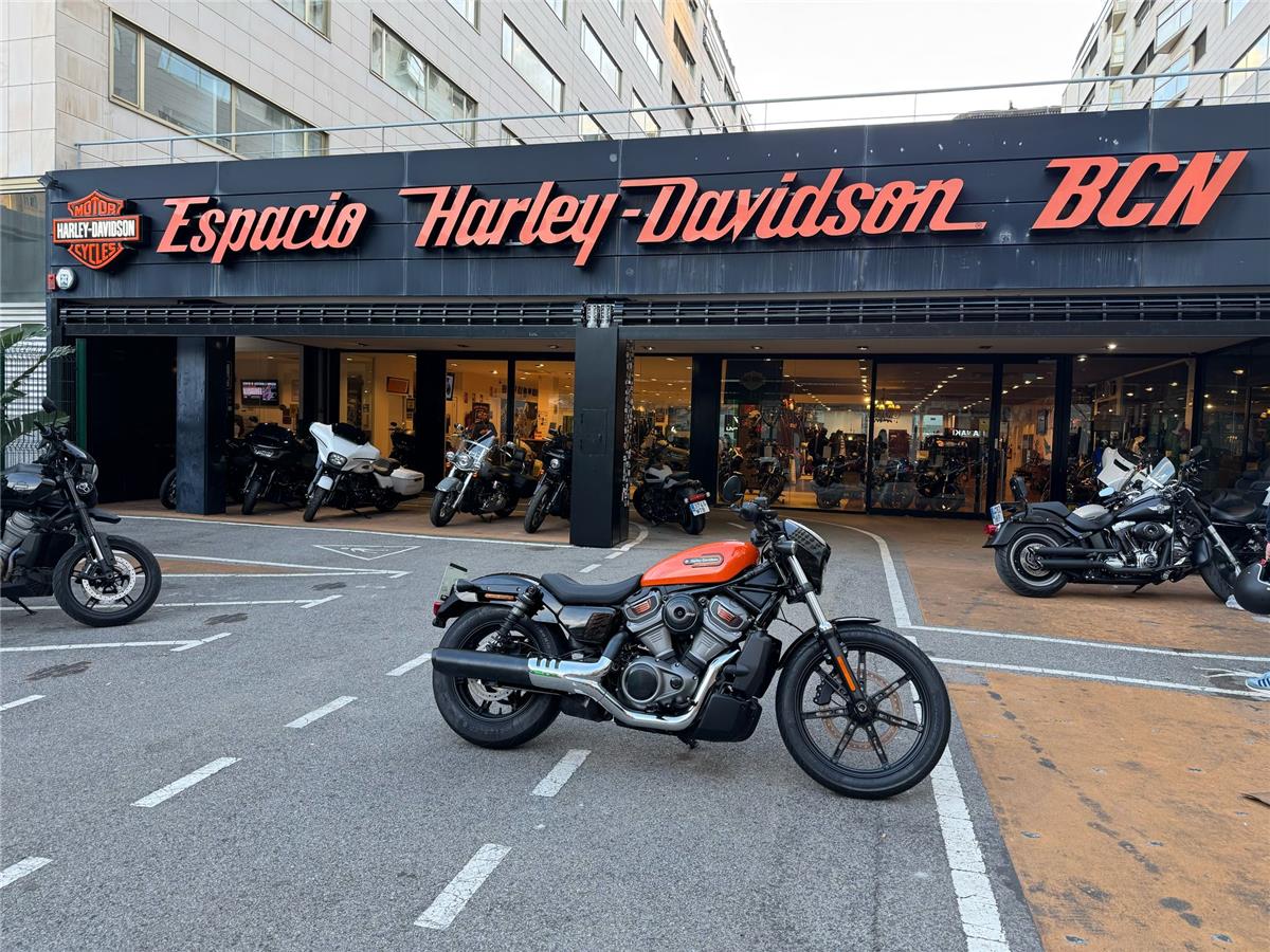 NIGHTSTER STD – 2022