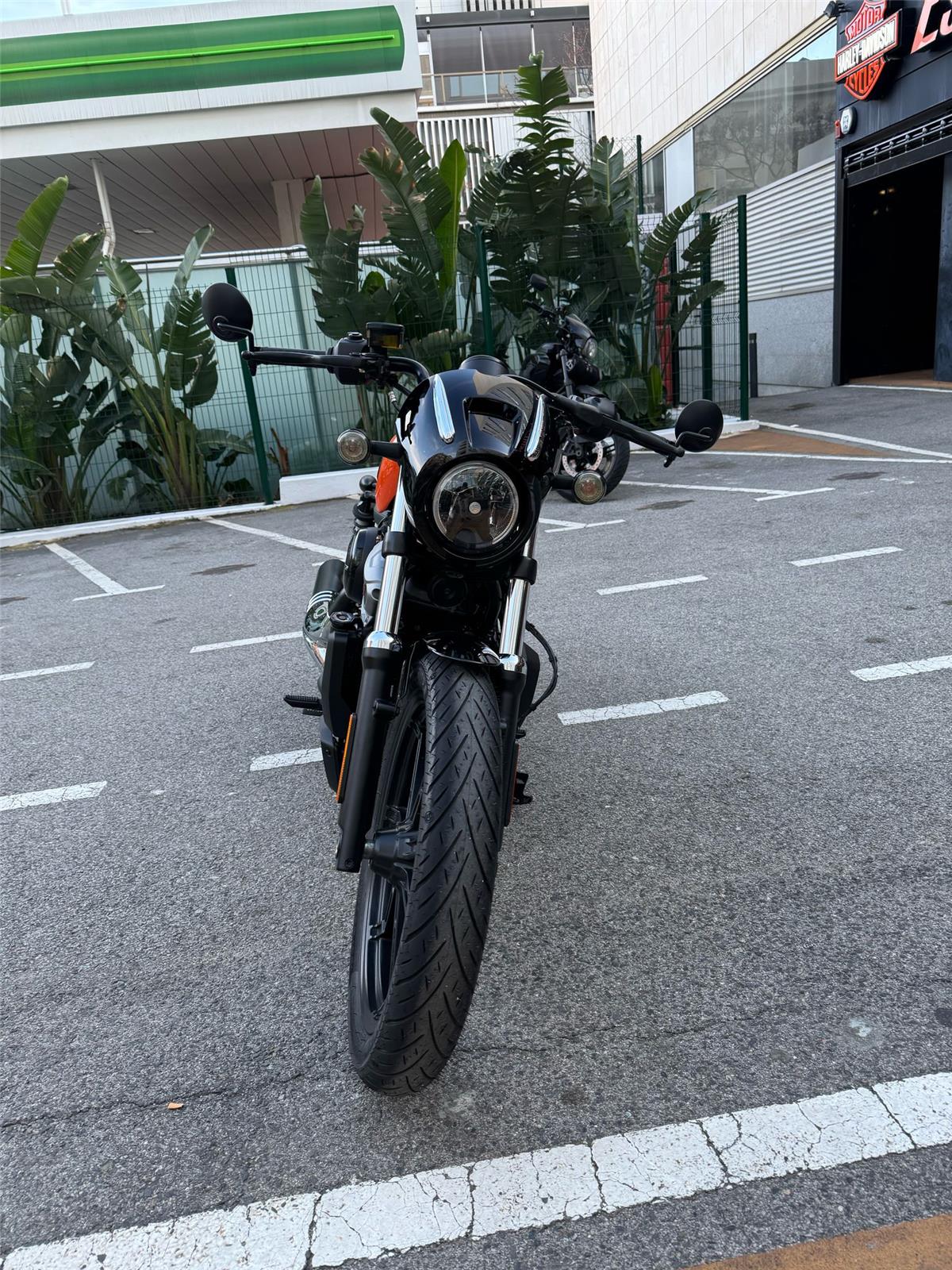 NIGHTSTER STD – 2022
