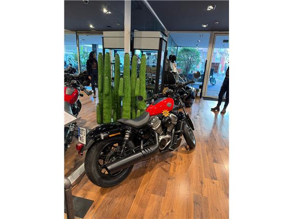 NIGHTSTER STD – 2024