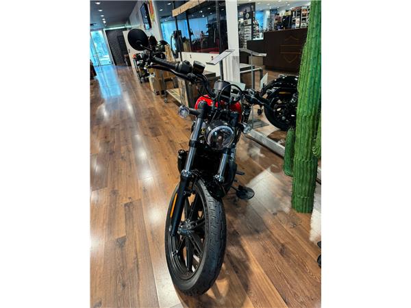 NIGHTSTER STD – 2024