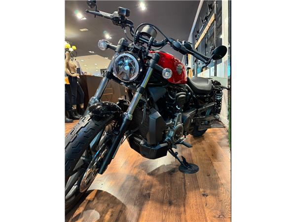 NIGHTSTER STD – 2024