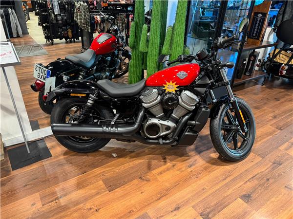 NIGHTSTER STD – 2024