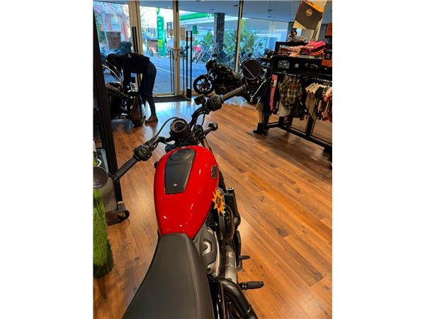 NIGHTSTER STD – 2024