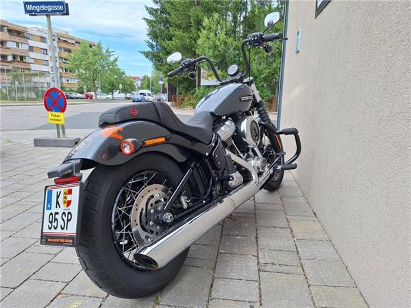 2025 Harley-Davidson Street Bob 117