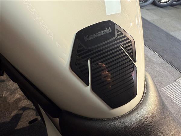 2025 Kawasaki Eliminator 500