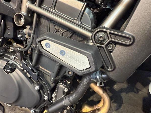 2025 Kawasaki Eliminator 500