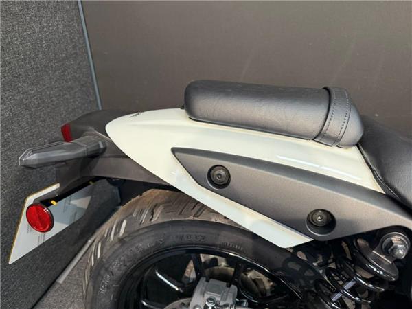 2025 Kawasaki Eliminator 500