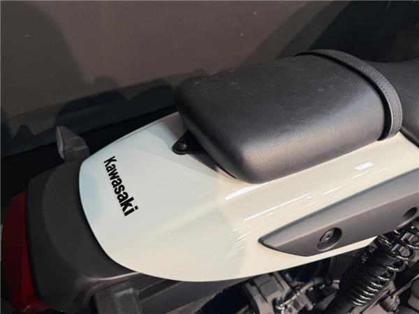 2025 Kawasaki Eliminator 500