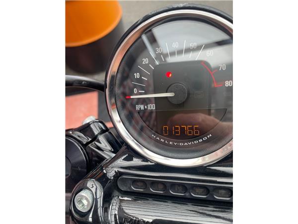 2017 harley-davidson XL 1200 CX Sportster Roadster ABS