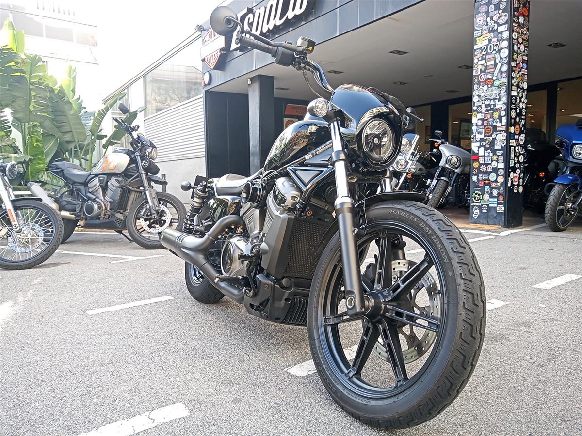 NIGHTSTER STD – 2023