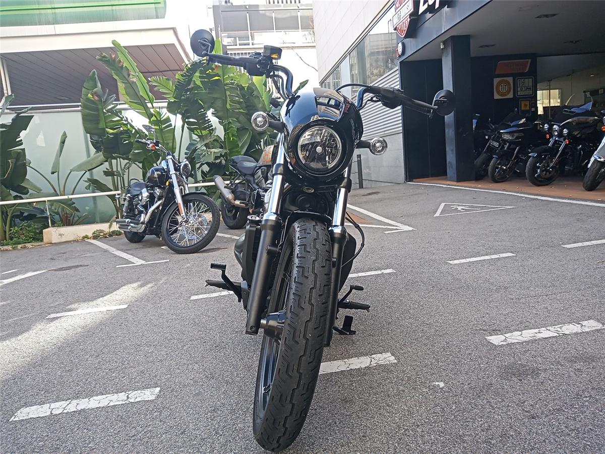 NIGHTSTER STD – 2023