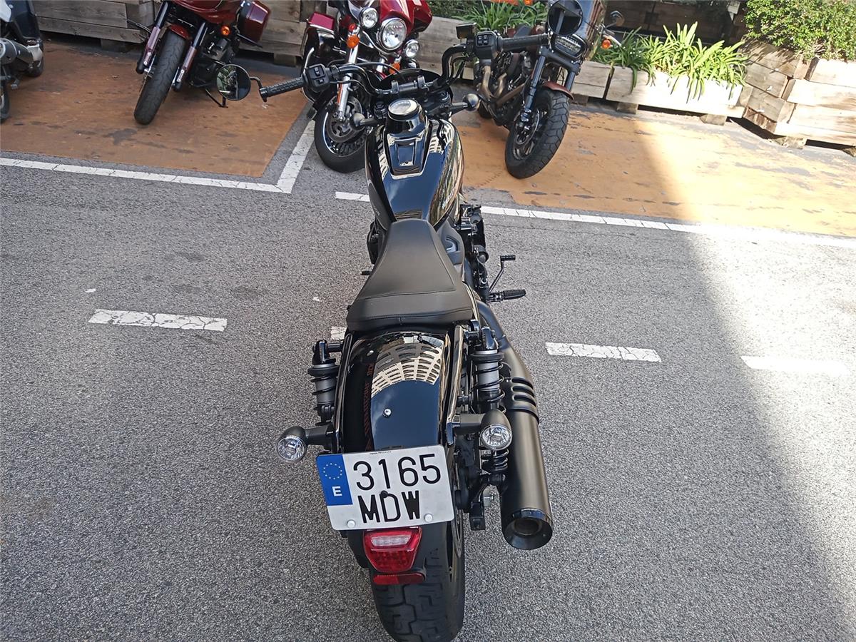 NIGHTSTER STD – 2023