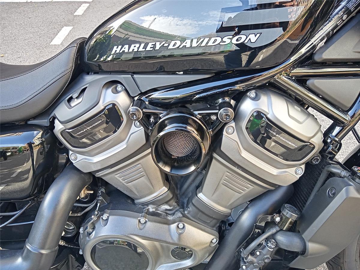 NIGHTSTER STD – 2023