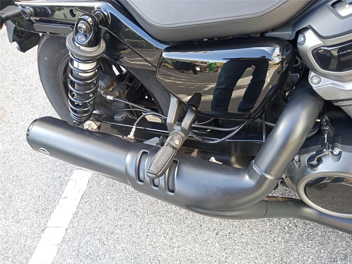 NIGHTSTER STD – 2023