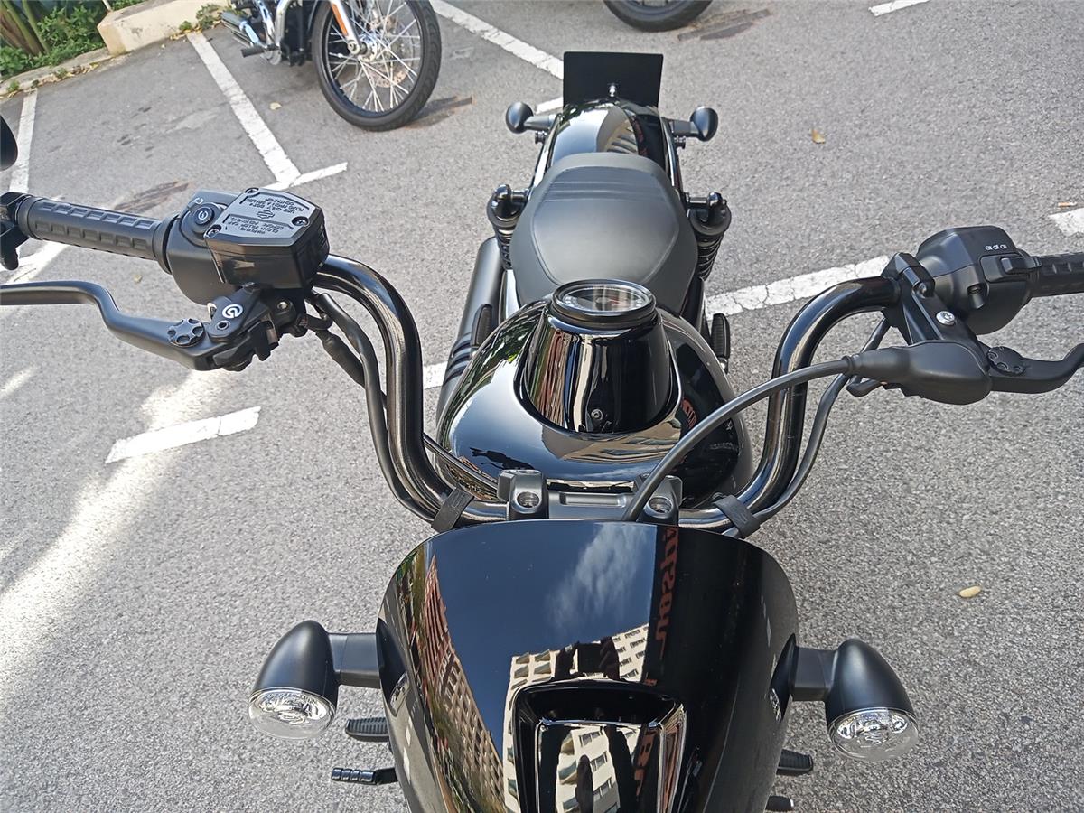 NIGHTSTER STD – 2023
