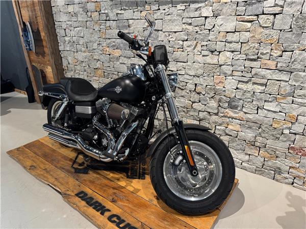 2011 HARLEY-DAVIDSON Dyna FXDF Dyna Fat Bob