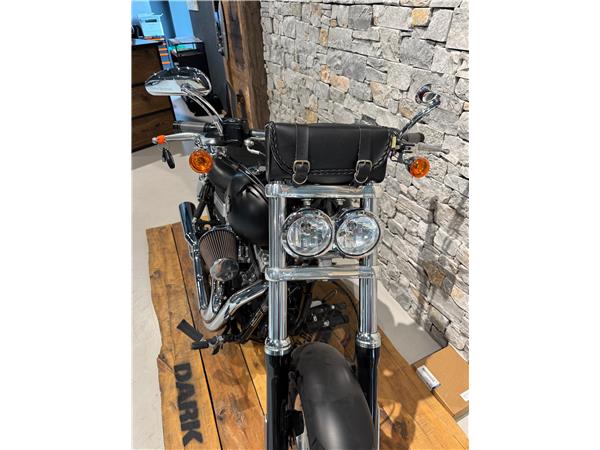 2011 HARLEY-DAVIDSON Dyna FXDF Dyna Fat Bob