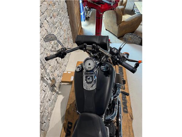 2011 HARLEY-DAVIDSON Dyna FXDF Dyna Fat Bob