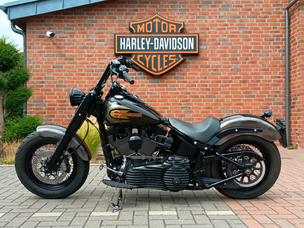 FLSS SOFTAIL Slim S 110 