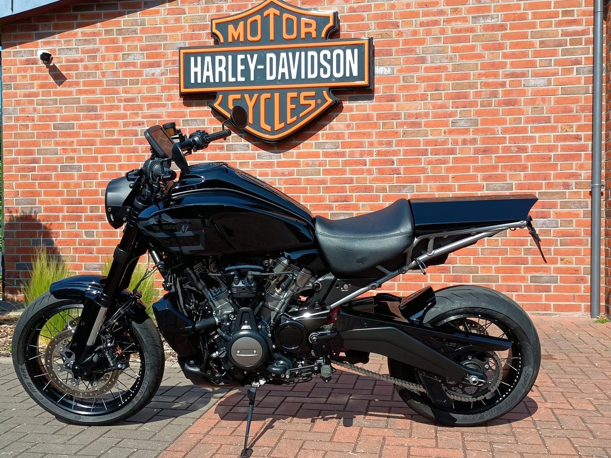 RA1250 Pan America Custom 