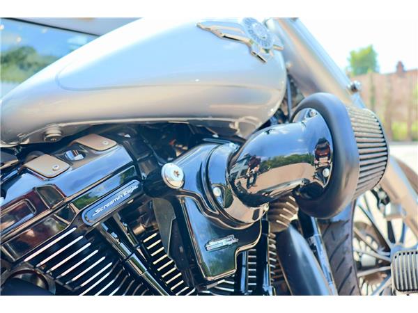 2020 HARLEY-DAVIDSON SOFTAIL FLFBS FAT BOY 114