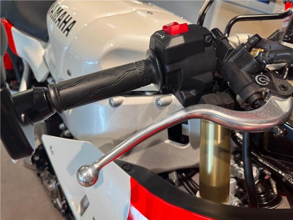 2024 YAMAHA XSR900 GP