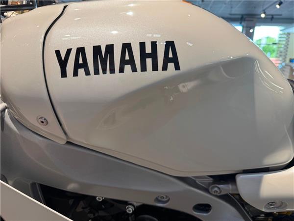 2024 YAMAHA XSR900 GP
