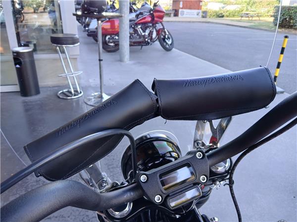 2022 HARLEY-DAVIDSON STREET BOB