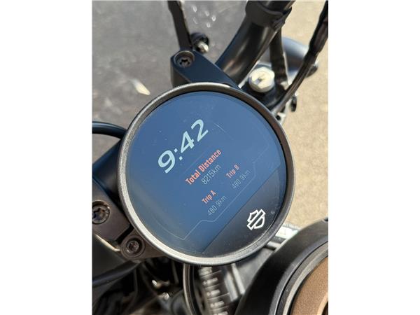 2024 HARLEY-DAVIDSON SPORTSTER 1250