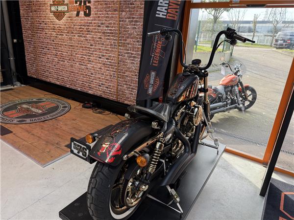 2016 HARLEY-DAVIDSON SEVENTY TWO