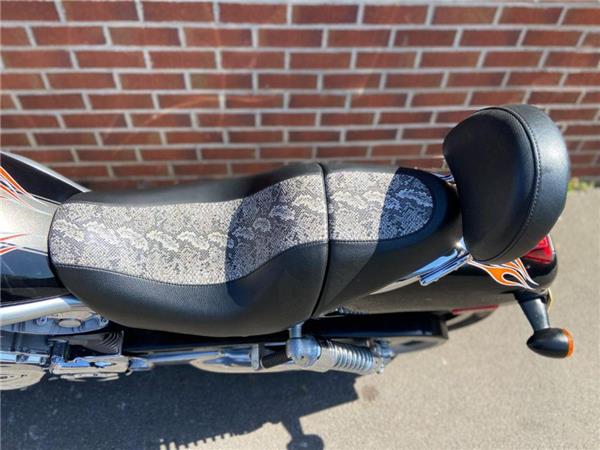 2006 Harley-Davidson VR