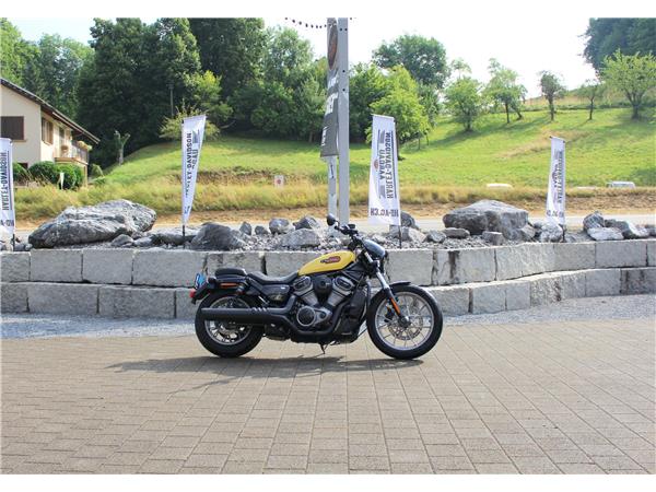 2024 harley-davidson RH 975S Nightster Special