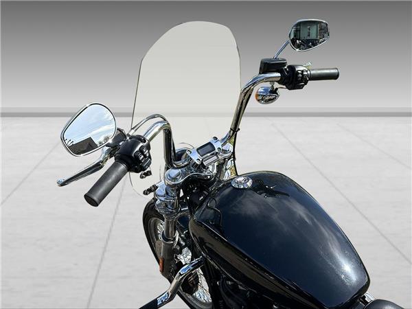 2021 harley-davidson FXST Softail Standard 107