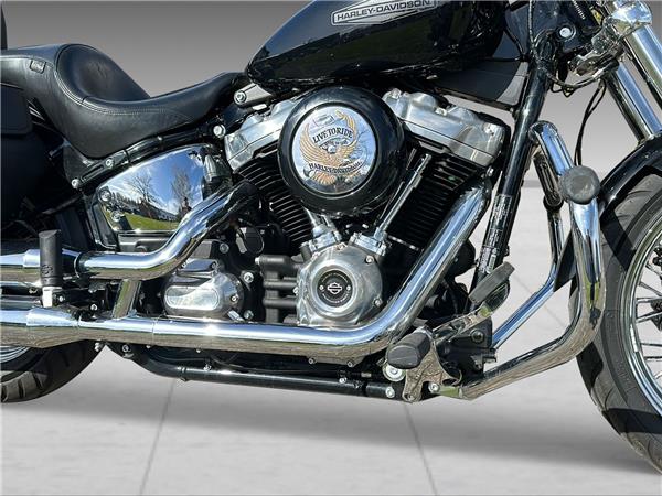 2021 harley-davidson FXST Softail Standard 107